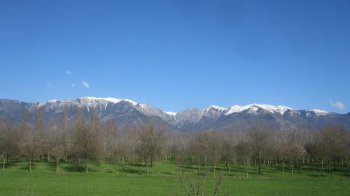 a field with trees and mountains in the background at Fara1911 in Fonte