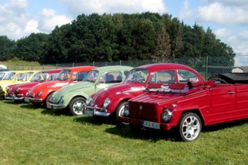 a row of old cars parked in a field at Galeria Pępowo in Żukowo