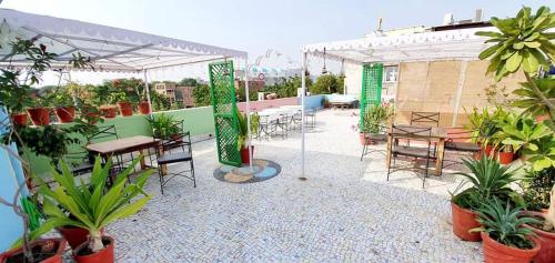 Zahrada ubytování Durag Niwas Guest House