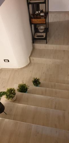 a staircase with three potted plants on the floor at B&B Novecento Italiano in Altamura
