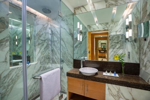 a bathroom with a shower and a sink and a mirror at Radisson Blu Marina Hotel Connaught Place in New Delhi