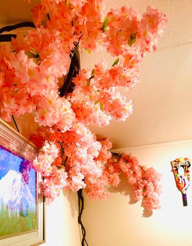 a bunch of pink flowers hanging from a ceiling at 雲波館 in Nagoya