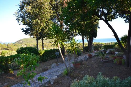 Santolina – Photos 2