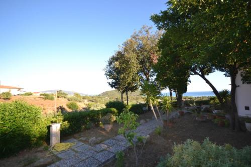 Santolina – Photos 3