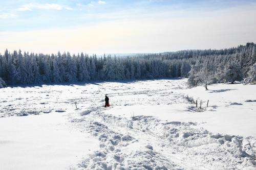 une personne se tient debout dans un champ enneigé dans l'établissement Les Pierres Davélie, à Saint-Éloy-la-Glacière