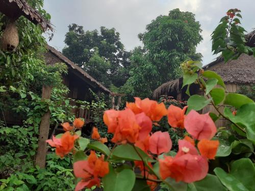 a group of orange flowers in front of a house at Tribal Village Homestay & Trekking in Banlung