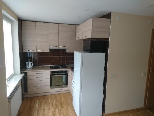 a kitchen with a white refrigerator and wooden cabinets at Anyksciai nakvyne in Anykščiai