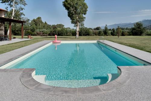 a swimming pool with a pink object in the middle at VISTALAGO VERSILIA in Massarosa