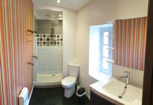 un bagno con wc, lavandino e doccia di Gîte au Village du Domaine Le Colombier a Dienville