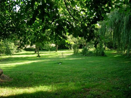 a green field with trees and green grass at Chambre d'hôtes Ermitage Saint Romble in Crézancy