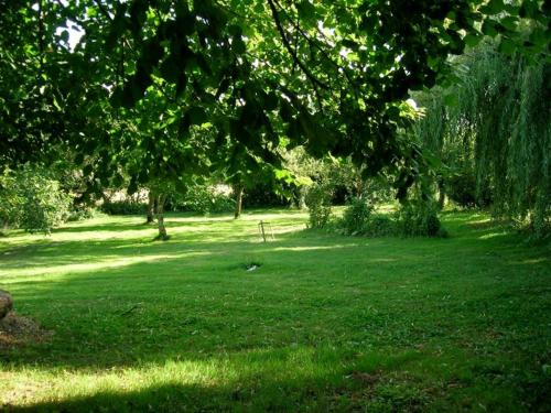 un champ verdoyant avec des arbres et de l'herbe verte dans l'établissement Chambre d'hôtes Ermitage Saint Romble, à Crézancy