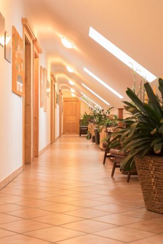 a hallway with potted plants in a building at Weingut Burger in Kalladorf