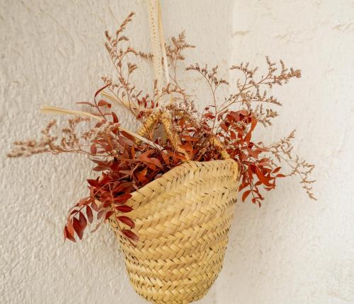 a basket with a plant in it hanging on a wall at Luxury Apartment Stancesvic in Vic