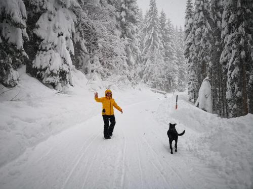 a person walking a dog in the snow at Jungholz Erlebnis in Jungholz
