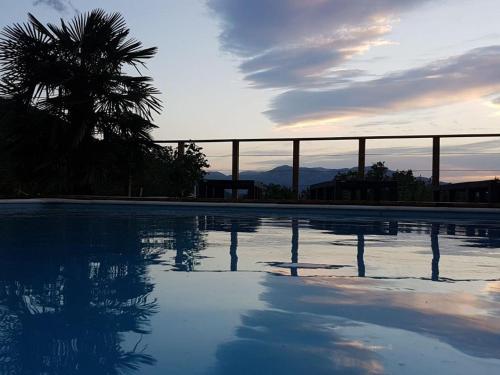 une grande piscine avec un palmier en arrière-plan dans l'établissement Gîtes ETCHE ARGUINIA, à Montory