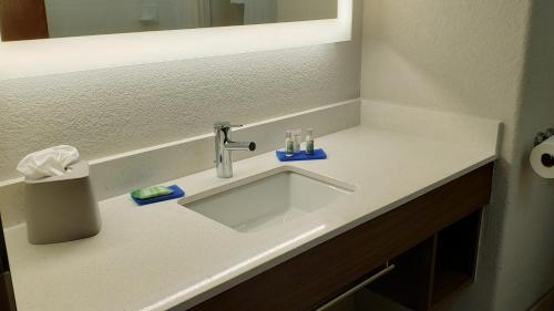 韋斯拉科的住宿－韋斯拉科智選假日酒店及套房，浴室的柜台设有水槽和镜子