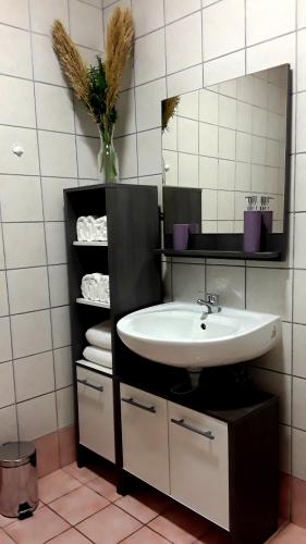 a bathroom with a sink and a mirror at VILLA AROMA in Pag