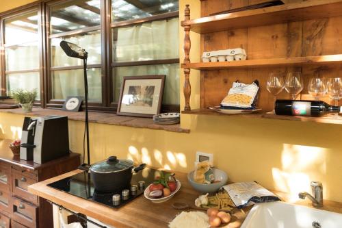 a kitchen with a counter with a stove and a sink at Alpaca country house in Pontedera