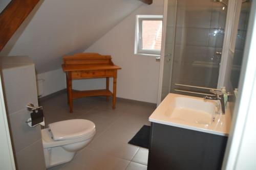 a bathroom with a toilet and a sink and a desk at Gardenia 2 in Stadtlauringen