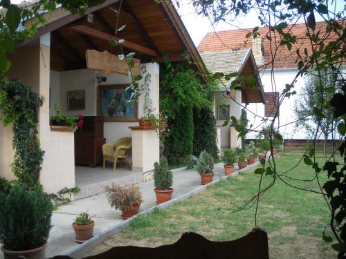 un patio de una casa con macetas en B&B Sandrina en Bilje