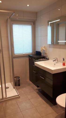 a bathroom with a sink and a mirror at Pension Wauri , Ferienwohnung ' SCHWARZWALD ' , Erdgeschoss in Waldenbuch