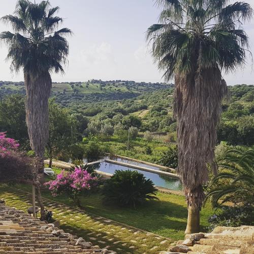 two palm trees next to a swimming pool at Case Brizza in Casale Zappulla