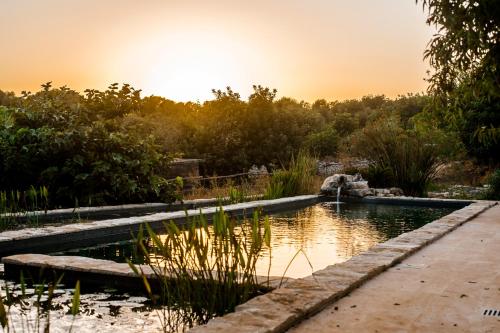 a pond in a garden with the sunset in the background at Case Brizza in Casale Zappulla