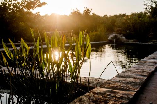 a pond with the sun setting in the background at Case Brizza in Casale Zappulla