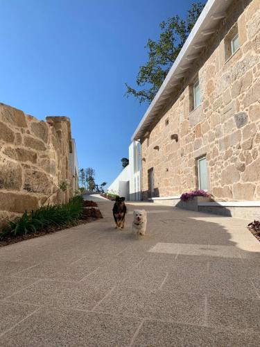 two dogs walking down a sidewalk next to a building at Hotel Nande in Nieves