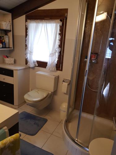 a bathroom with a toilet and a shower and a window at Hotel Platten Apartment in Gersau