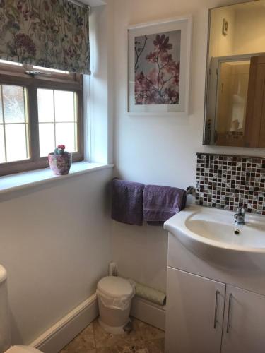een badkamer met een wastafel, een toilet en een raam bij Grey Oak in Newark upon Trent