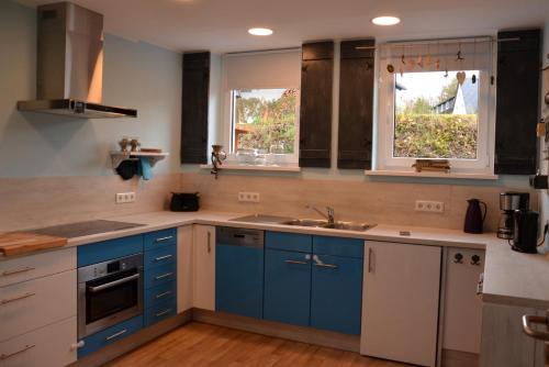 eine Küche mit blauen Schränken und einer Spüle und zwei Fenstern in der Unterkunft Ferienwohnung Marosa in Willingen