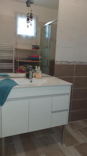 a bathroom with a white sink and a mirror at Le Jardinet in Pont-Sainte-Maxence