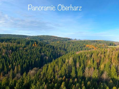 an aerial view of a forest of trees at Panoramic Apartments Hohegeiß in Hohegeiß