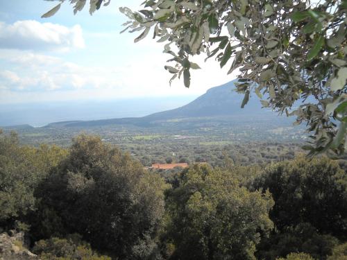 Pemandangan gunung umum atau pemandangan gunung yang diambil dari penginapan di ladang