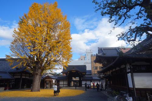 Kyomachiya IZO