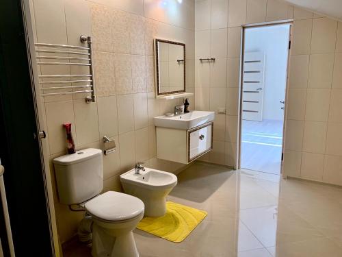 ゼリョンナヤ・ポリャナにあるEliza SKI Bannoeのバスルーム(トイレ、洗面台、鏡付)