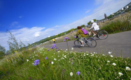 two people riding bikes down a road with flowers at Holiday Inn Express - Rouen Centre - Rive Gauche by IHG in Rouen