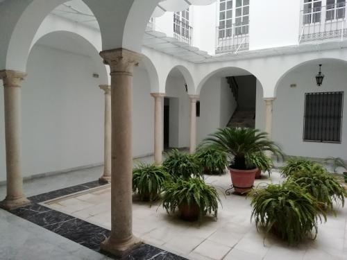 SALOTUR Tomas de Ibarra
