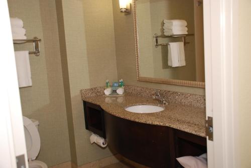 a bathroom with a sink and a mirror and a toilet at Holiday Inn Express & Suites Covington by IHG in Covington