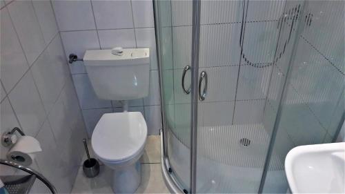 バート・ヴィルドゥンゲンにあるFerienwohnung Gosselのバスルーム(トイレ、ガラス張りのシャワー付)