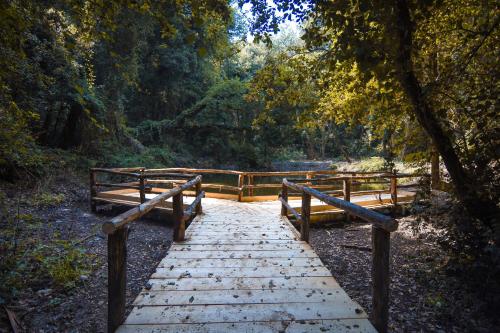 a wooden bridge in a forest with two benches at Domus Quarticelli Costa dei Trabocchi in Torino di Sangro