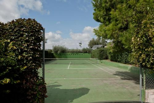 
Attività di tennis o squash presso the country house o nelle vicinanze
