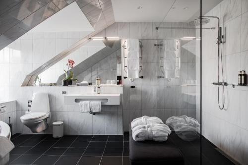 W łazience znajduje się prysznic, toaleta i umywalka. w obiekcie Höörs Gästgifwaregård w mieście Höör