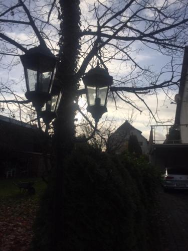 a tree with two lights on top of it at Lieblingsnest Detmold in Detmold