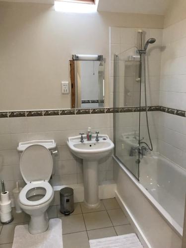 a bathroom with a toilet and a sink and a shower at The Old Coach House in Pen-pergwm