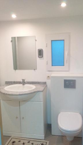 une salle de bain avec un lavabo et des toilettes dans l'établissement studio mezzanine 5 personnes, à La Roche