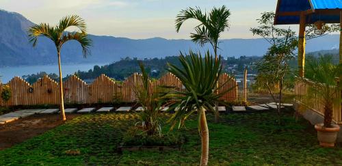 a garden with palm trees in front of a fence at Volcano Lake View in Kintamani