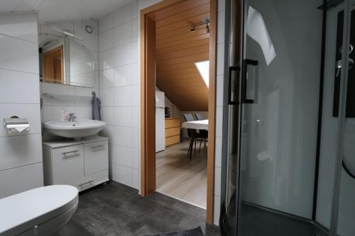 a bathroom with a toilet and a sink at Haus Anne in Neunkirchen
