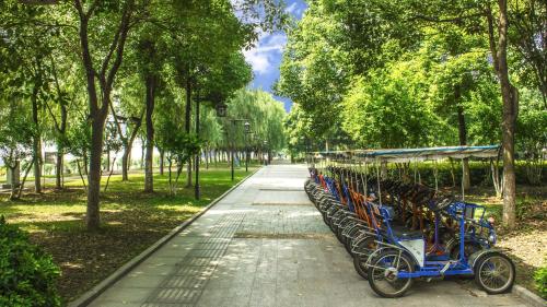 Holiday Inn Wuhan Riverside, an IHG Hotel في ووهان: صف من الدراجات متوقفة في حديقة